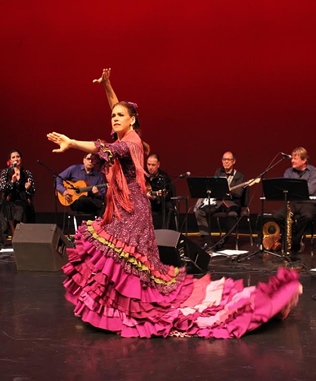 Flamenco Entertainers